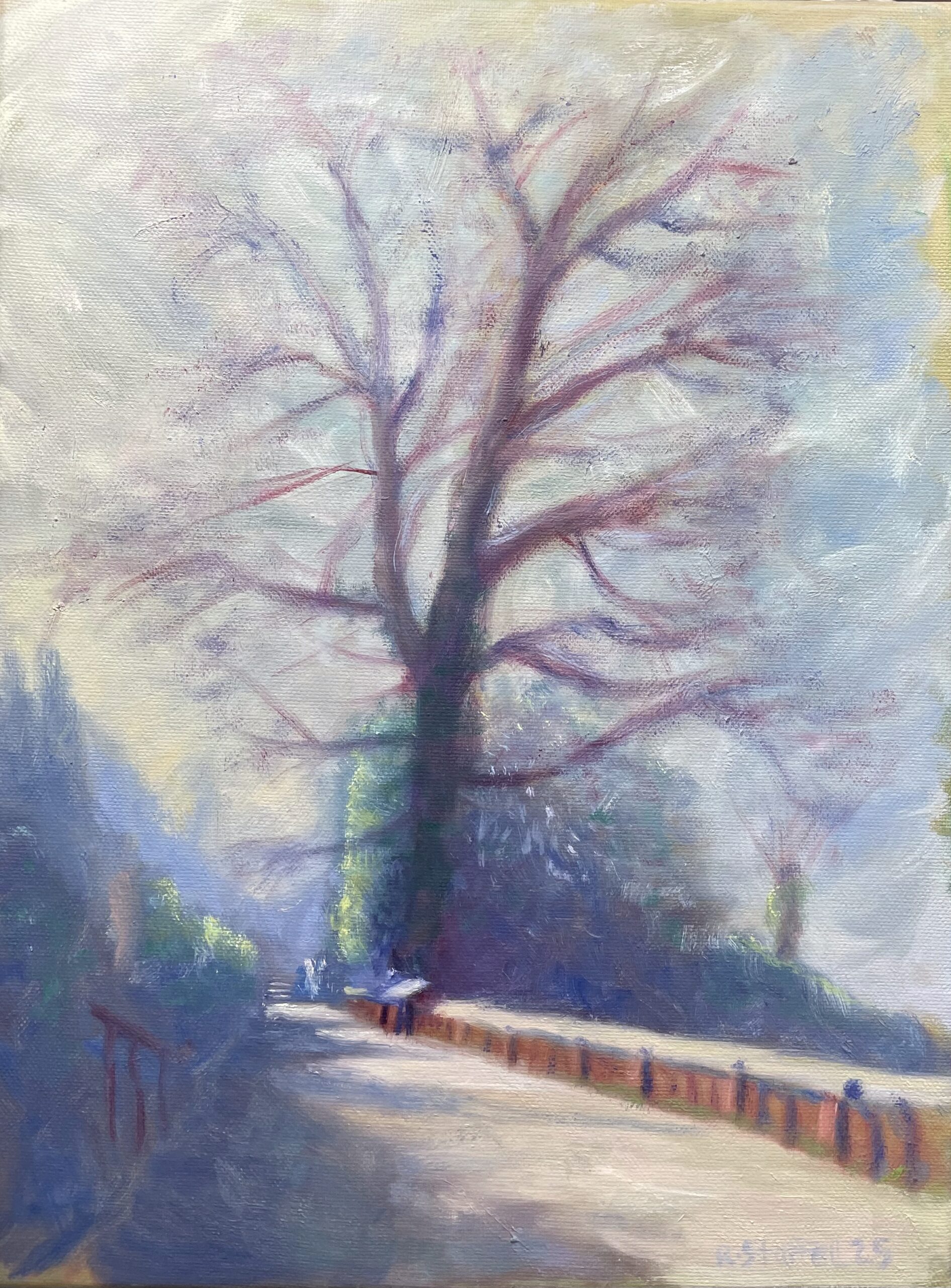 Top of Terrace Gardens morning light