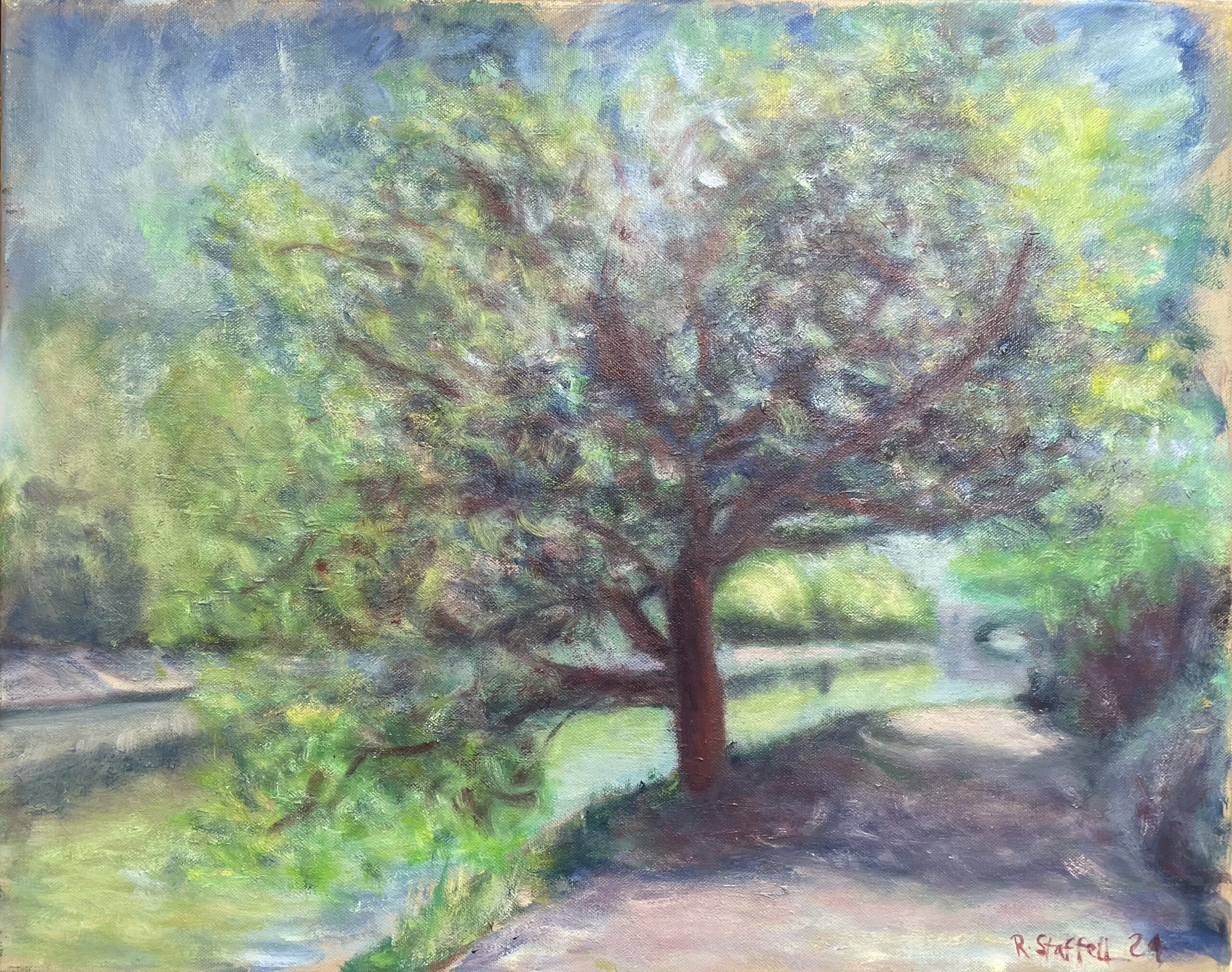 Oak tree Kew riverside