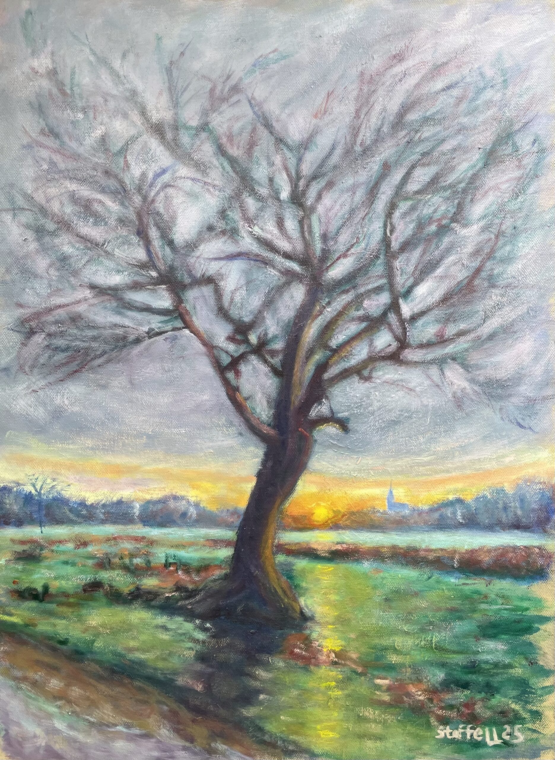 Richmond Park winter sunset