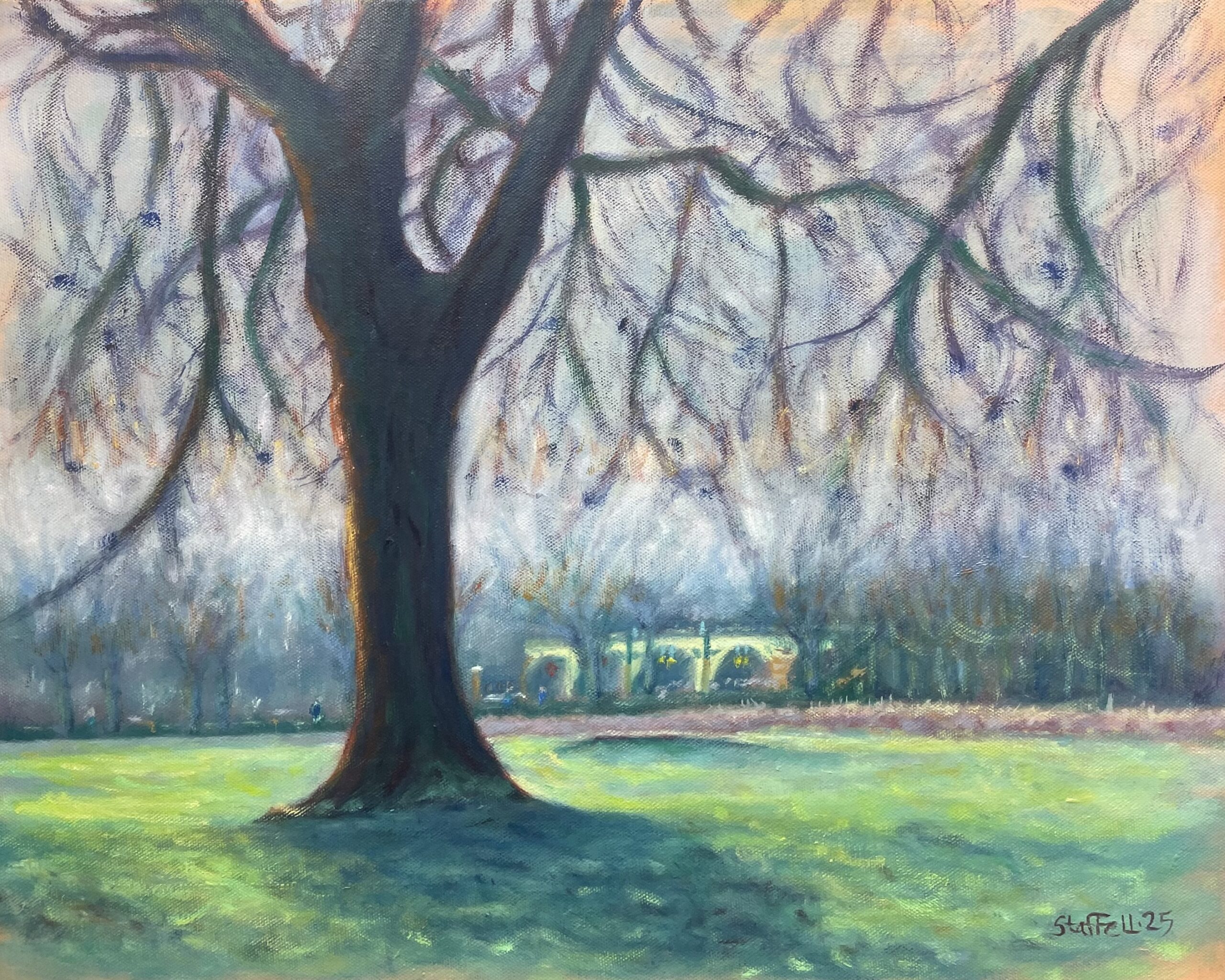 Winter glow Old Deer park