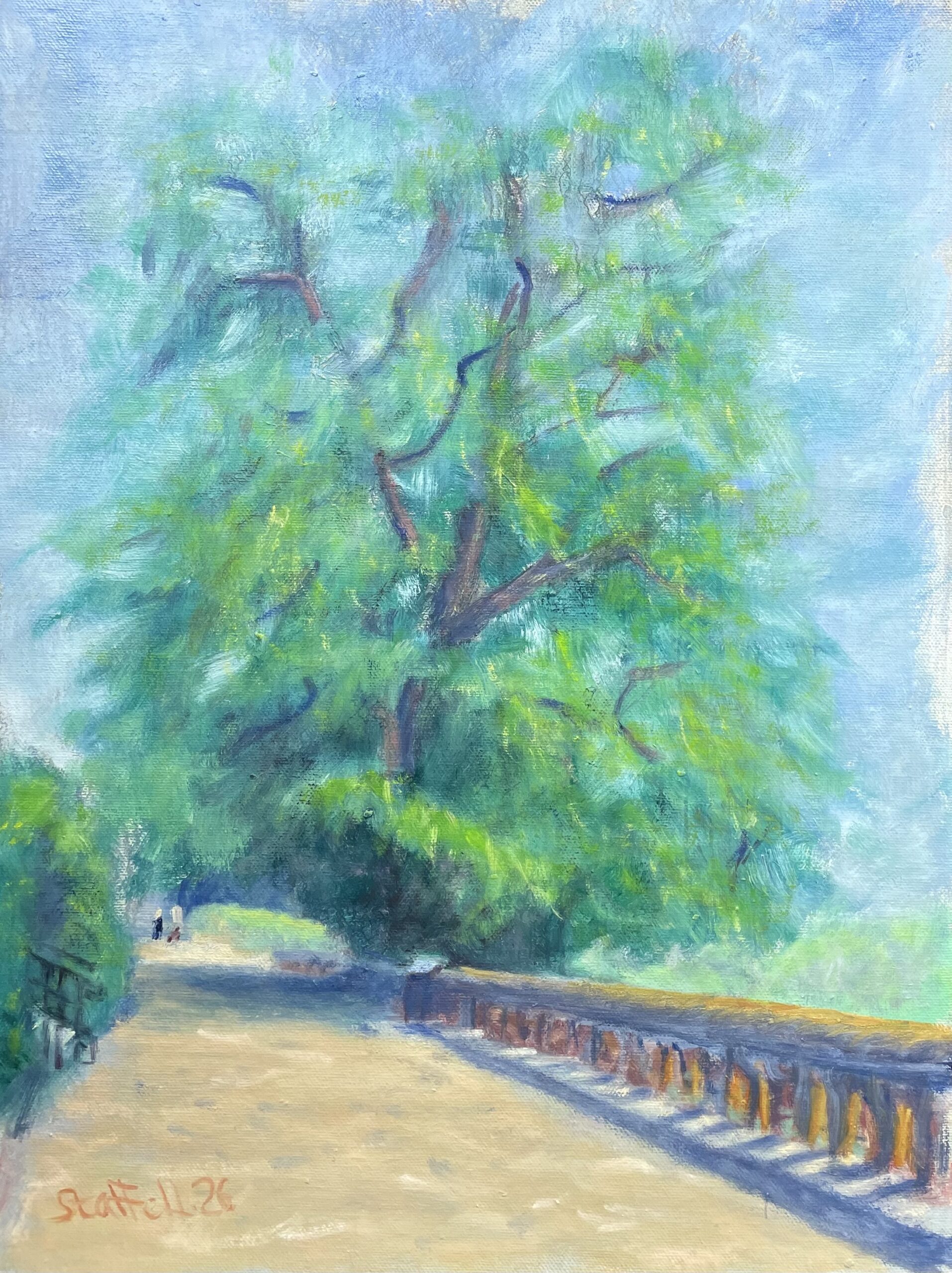 Plane tree in the summer