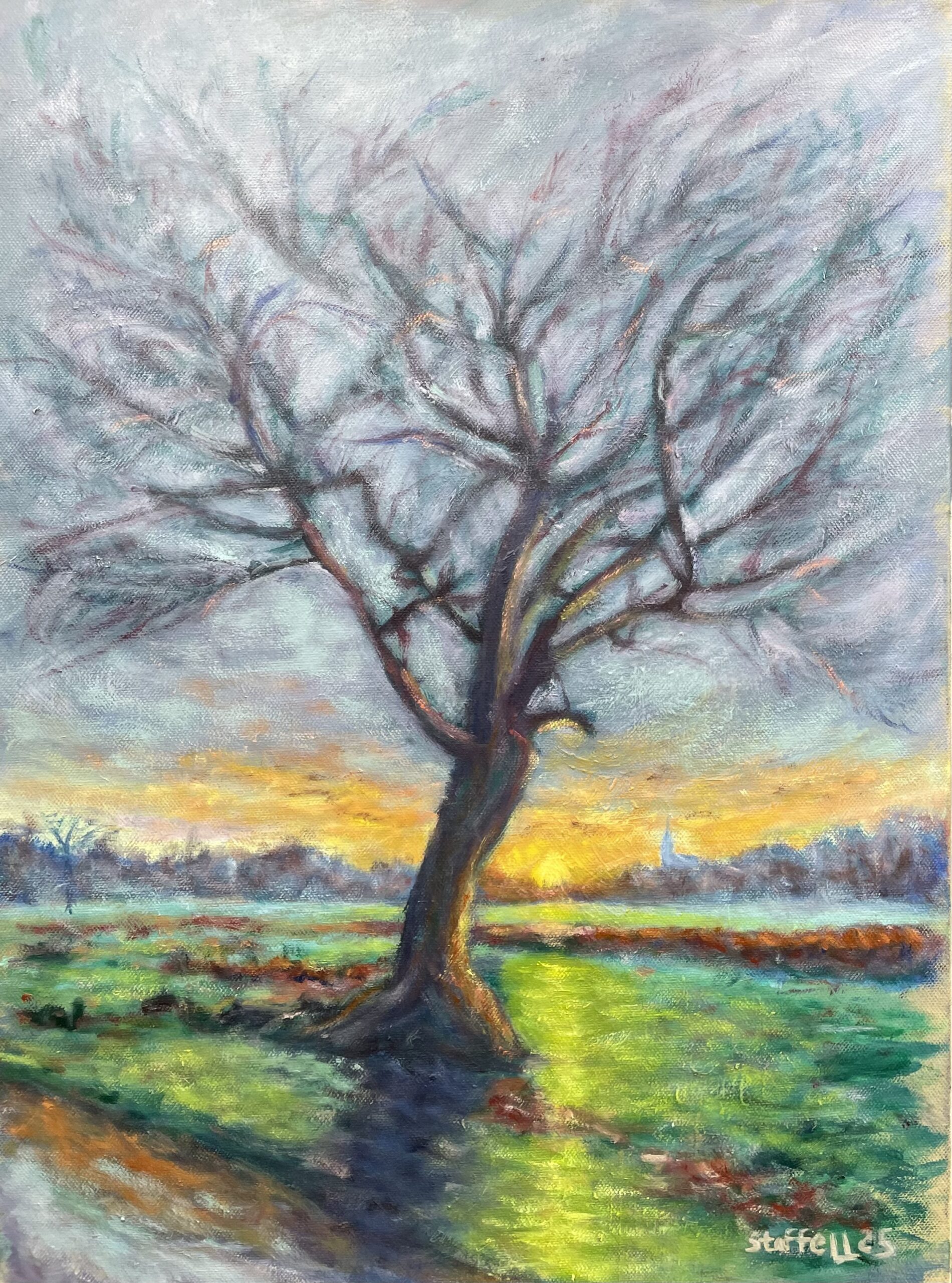 Winter sunset oak tree