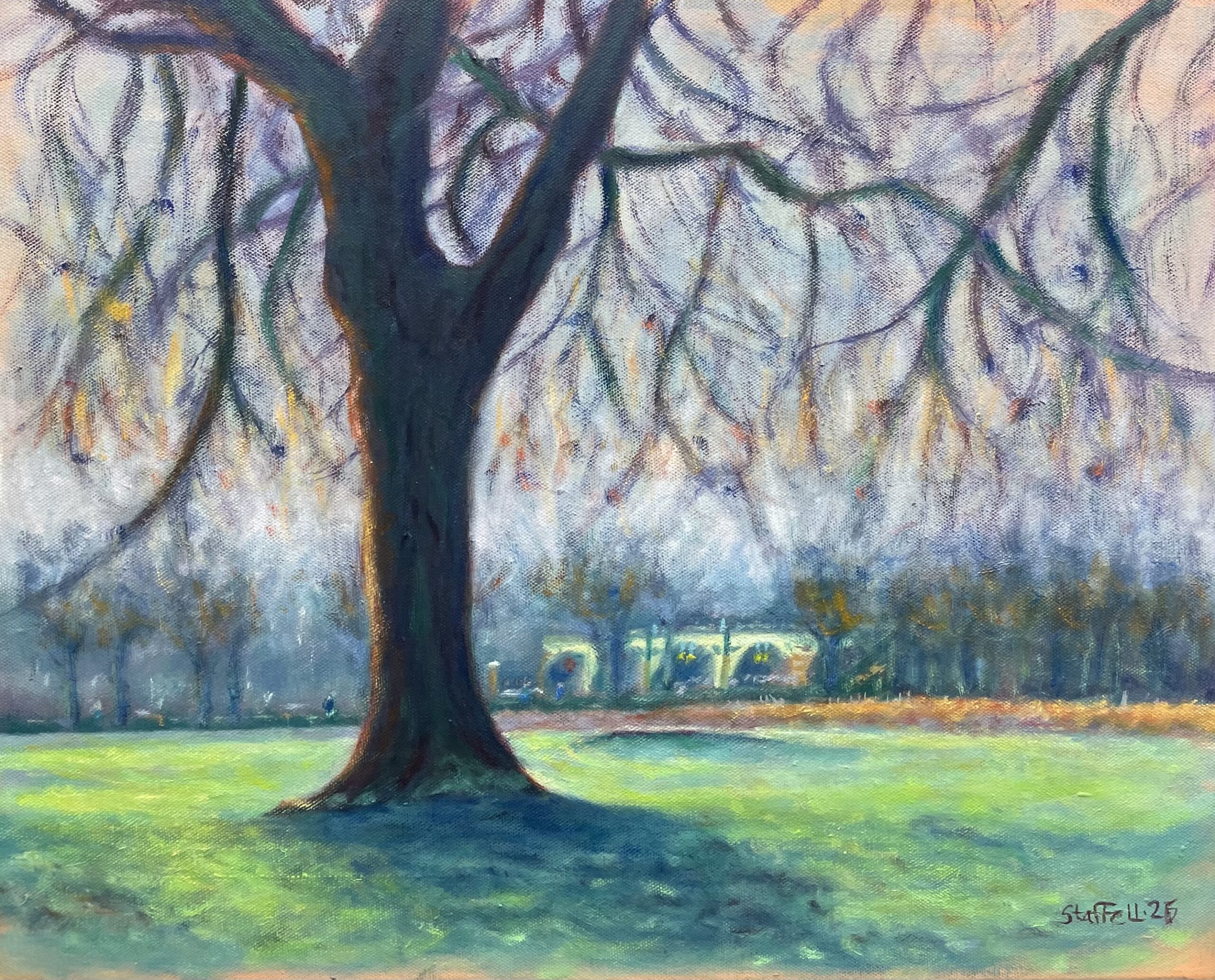 Winter glow Old Deer park