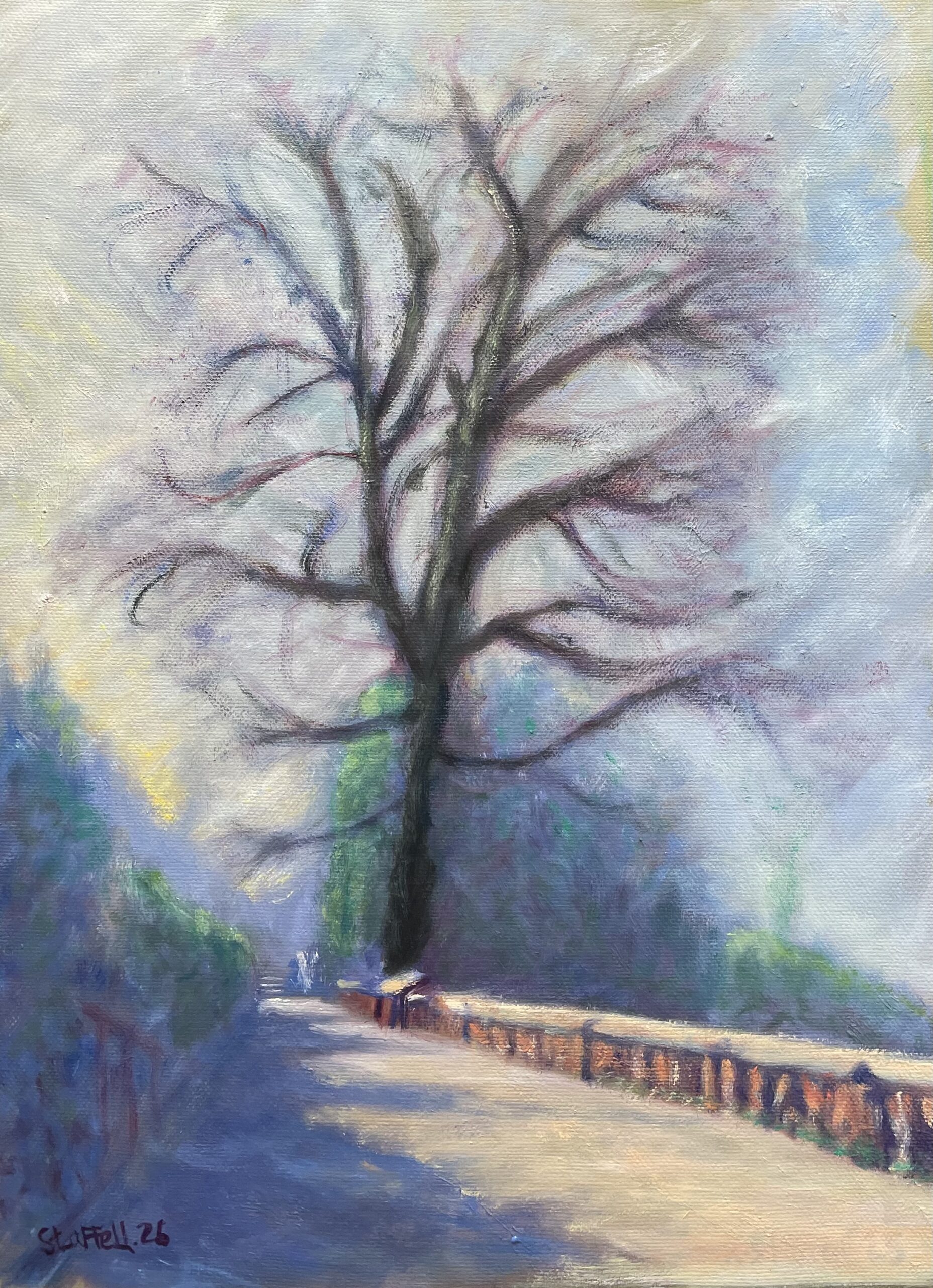 Top of Terrace Gardens winter