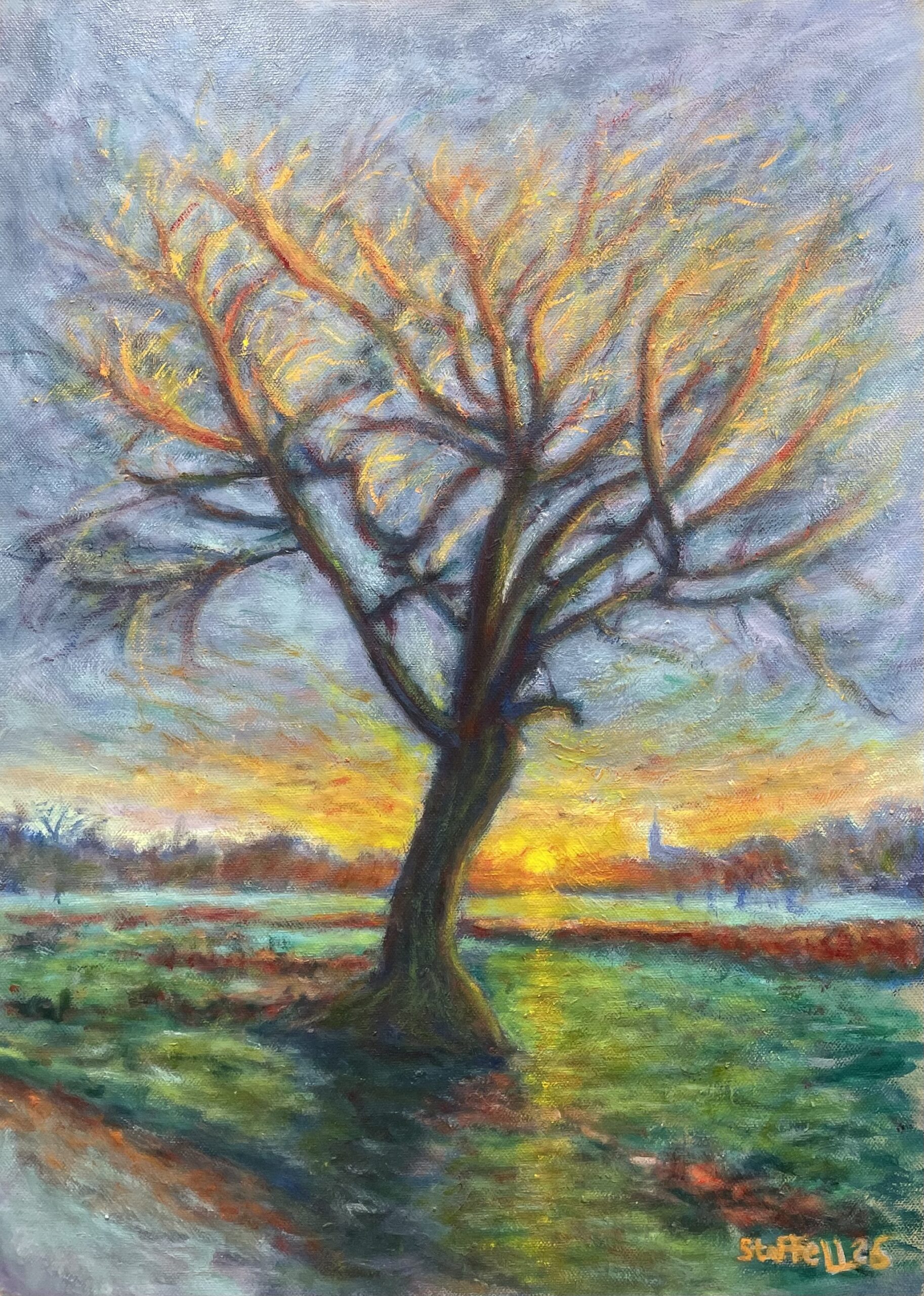 Golden glow oak tree