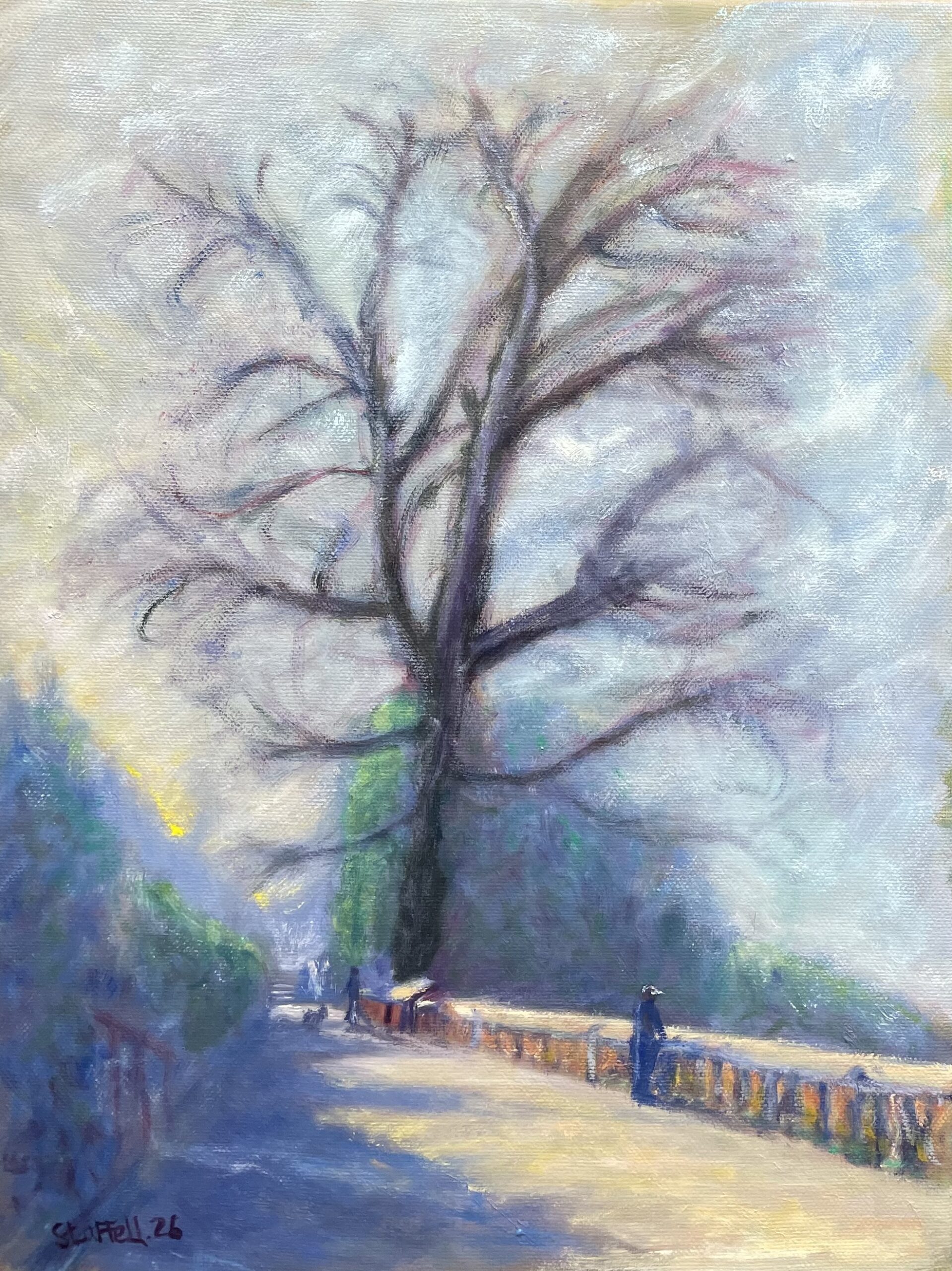 Top of Terrace Gardens winter
