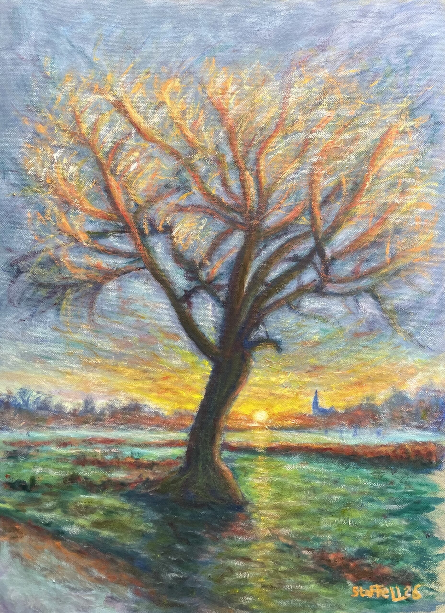 Golden glow oak tree