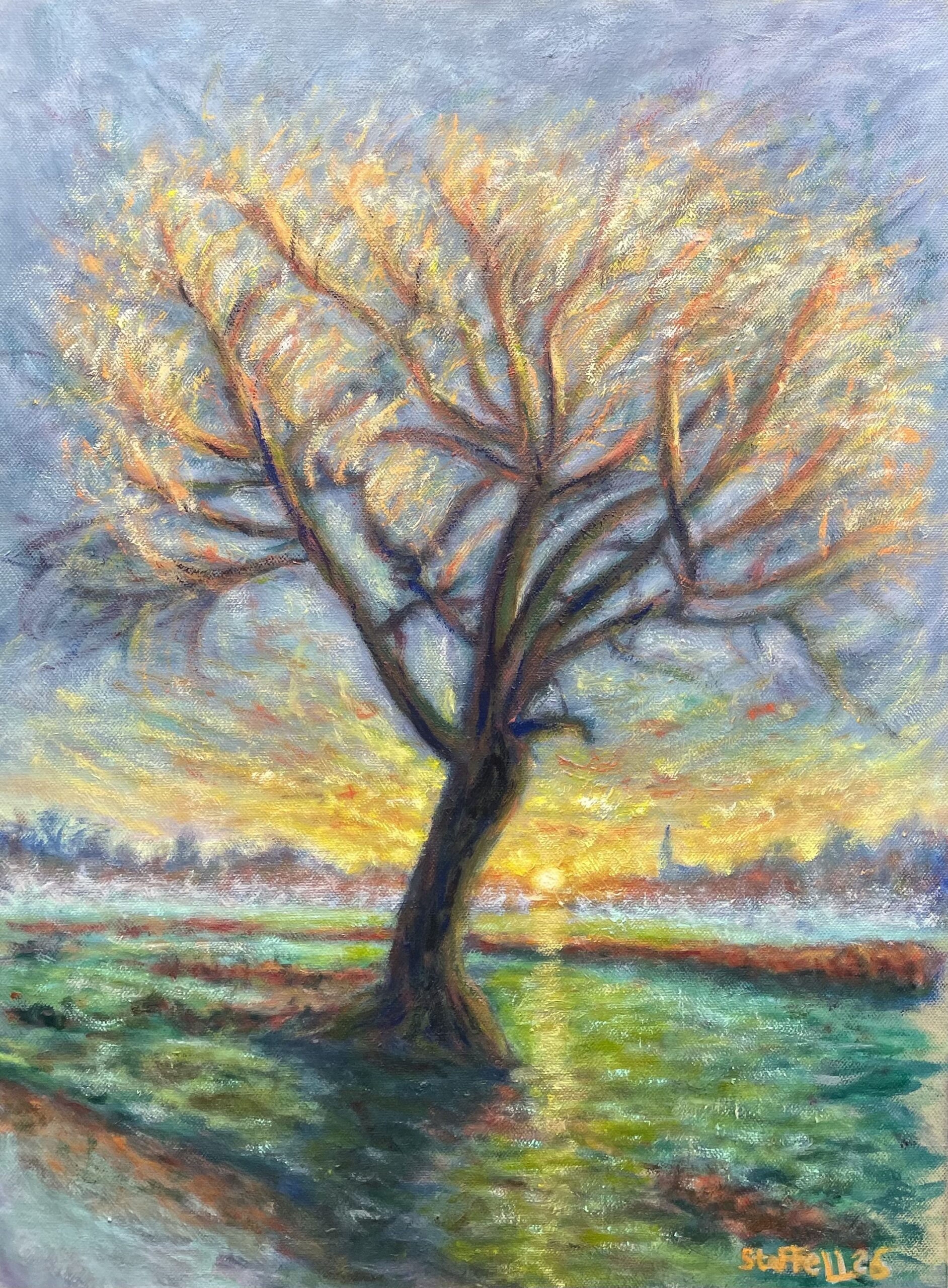 Golden glow oak tree